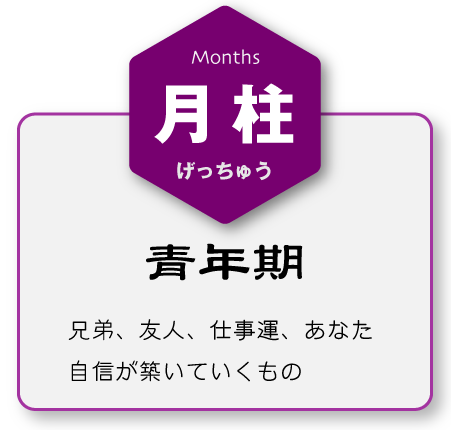 月柱ー青年期ー兄弟、友人、仕事運、あなた自信が築いていくもの